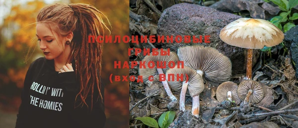 не бодяженный Покров