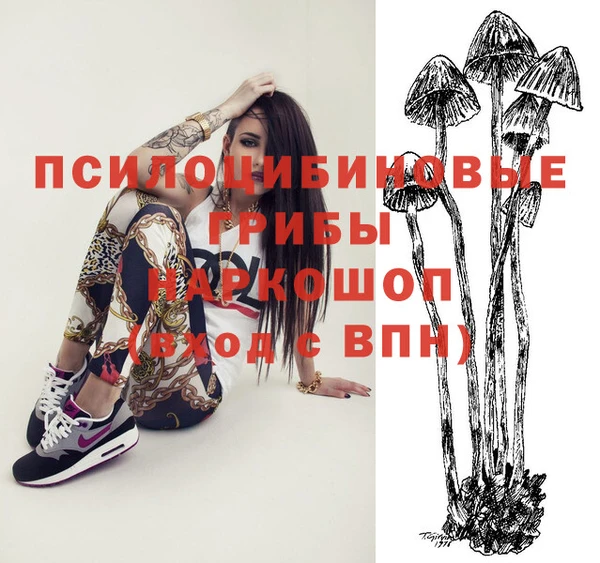 амфетамин Белокуриха